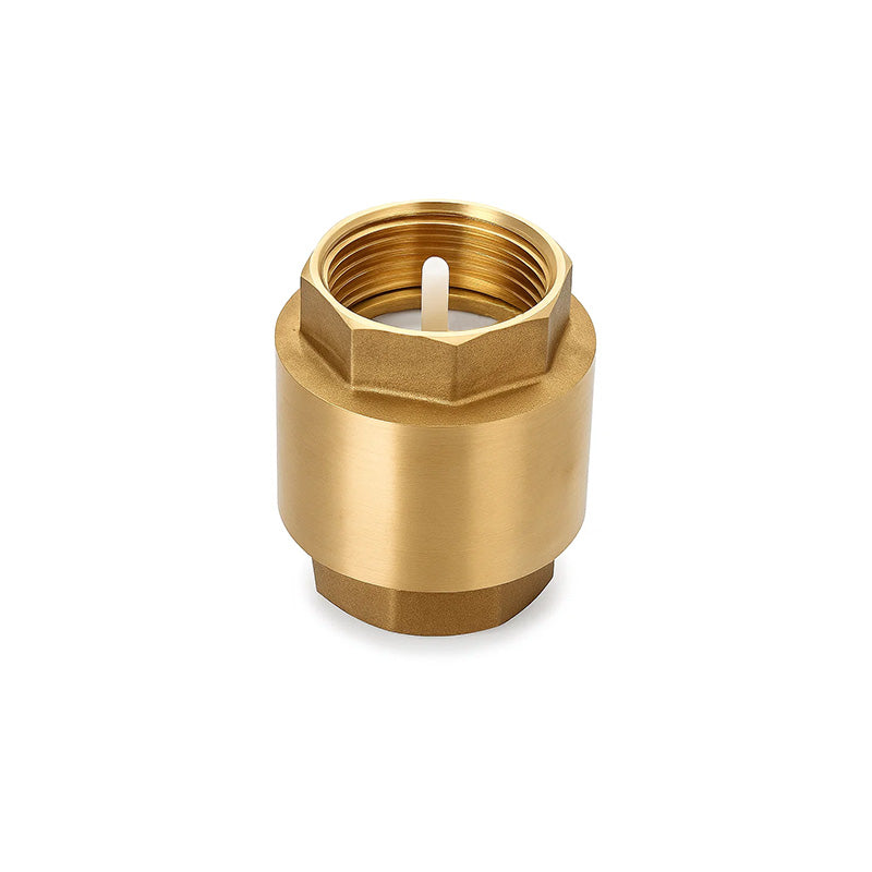 Vertical Spring Check Valve