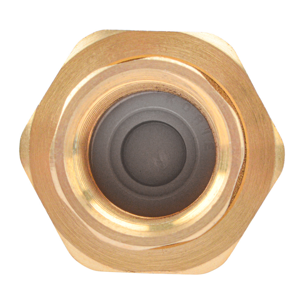 HYDRO MASTER Brass Dual Check Valve