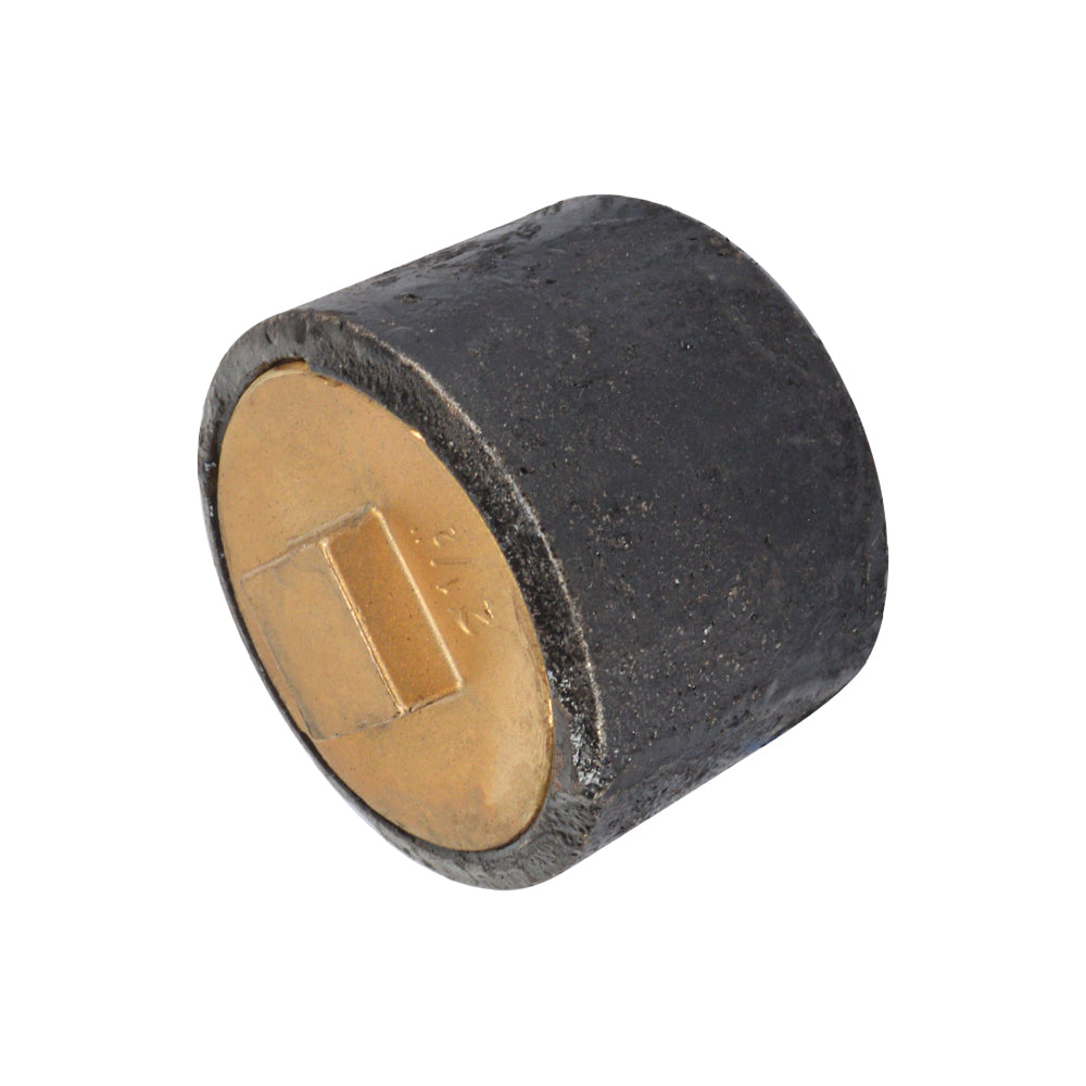 Plain End Cast Iron Cleanout with Southern Code Brass Plug - watertech plumbing supply