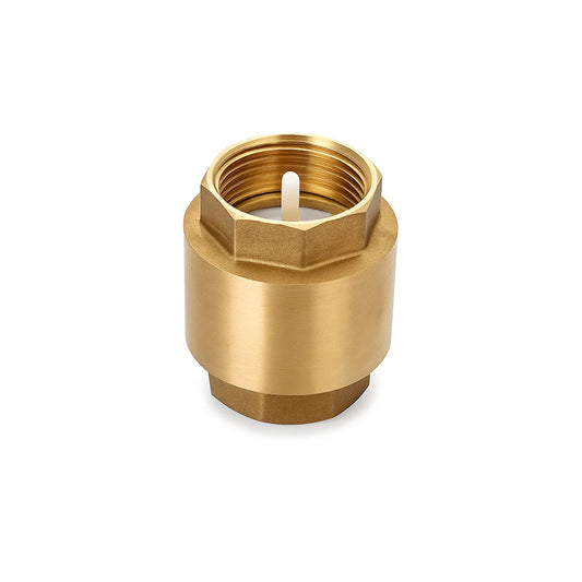 Vertical Spring Check Valve