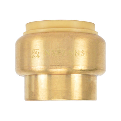 Push-Fit Cap Brass Fitting