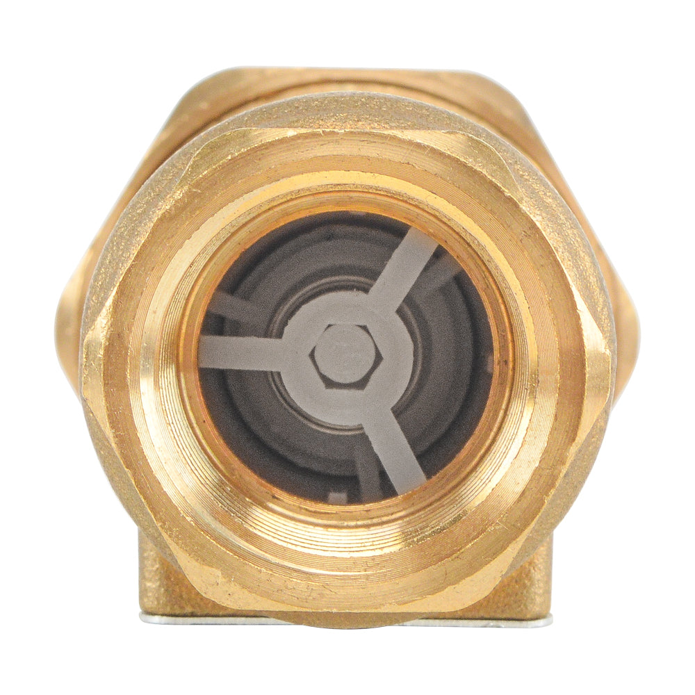HYDRO MASTER Brass Dual Check Valve