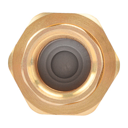 HYDRO MASTER Brass Dual Check Valve