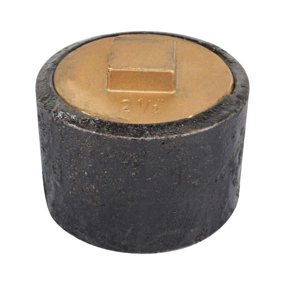 Plain End Cast Iron Cleanout   with Southern Code Brass Plug - watertech plumbing supply
