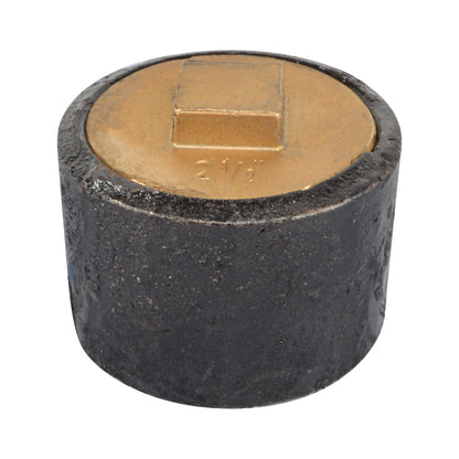 Plain End Cast Iron Cleanout   with Southern Code Brass Plug - watertech plumbing supply