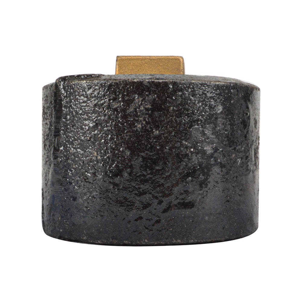 Plain End Cast Iron Cleanout   with Southern Code Brass Plug - watertech plumbing supply